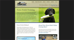 Desktop Screenshot of forcefetch.com