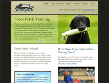 Tablet Screenshot of forcefetch.com